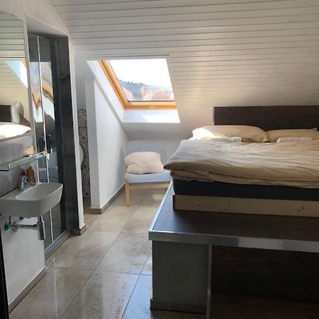 Apartman Krystof Františkovy Lázně Eksteriør billede